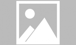 娱乐圈吃瓜四小花是什么,揭秘当红小花旦的崛起之路